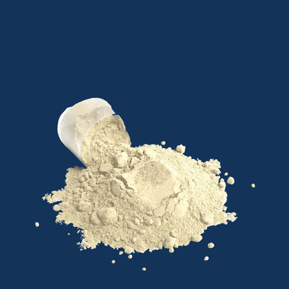 Performance Whey Protein Blend (Vanilla)