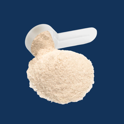 Hydration Powder (Lemonade)